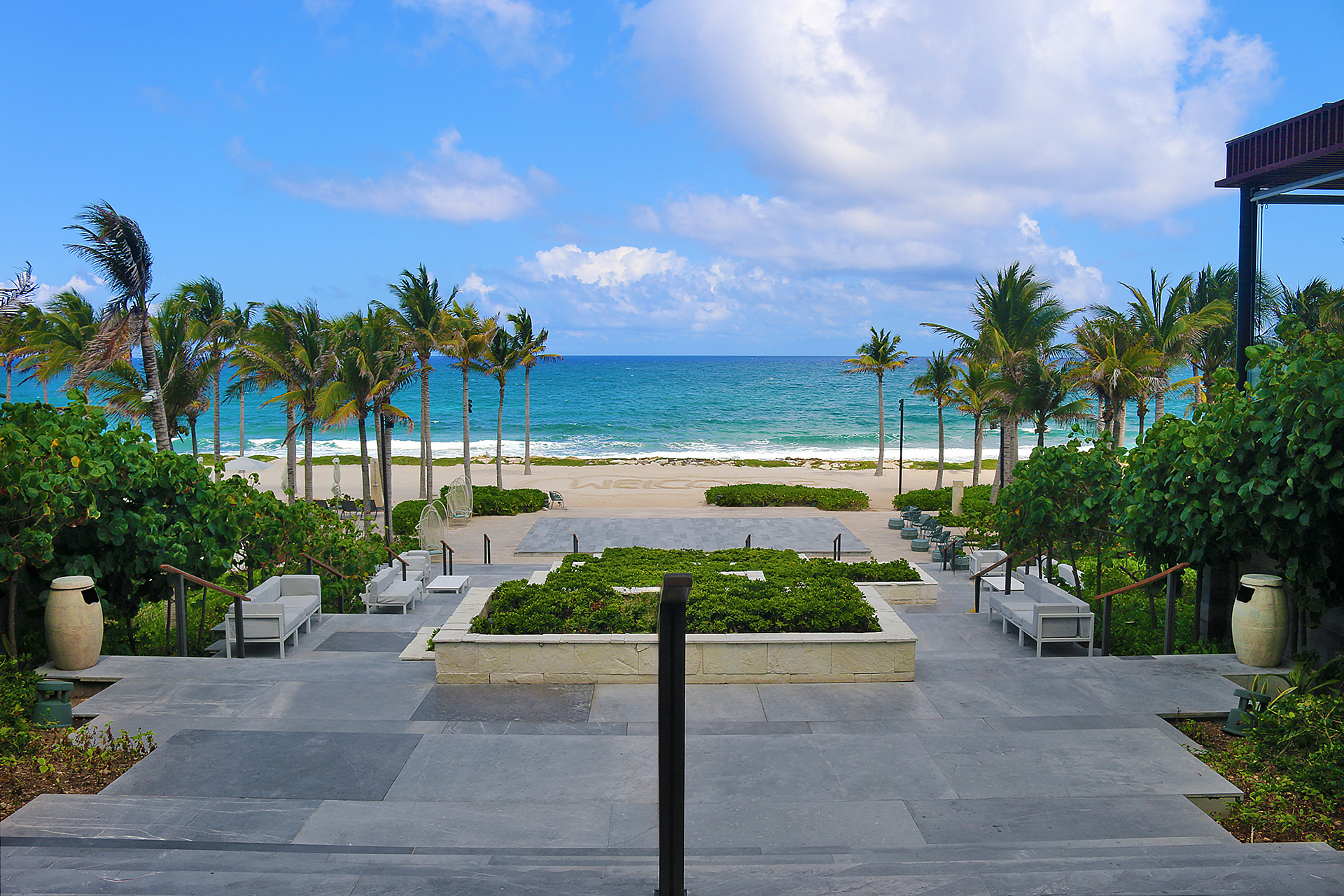 a beach with palm trees and a blue sky