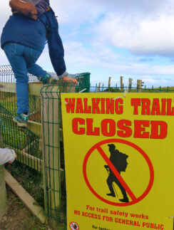 a person climbing a fence