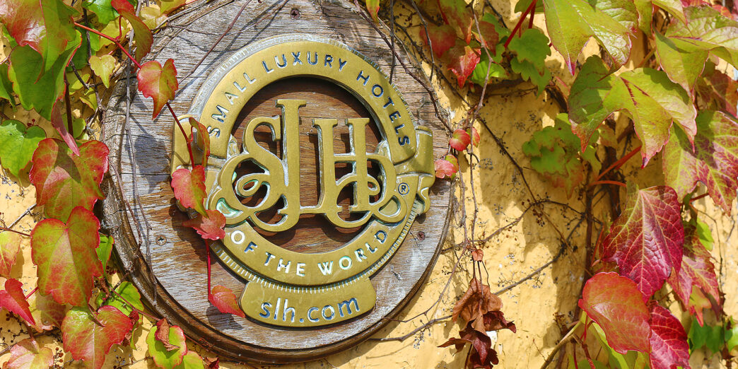 a sign on a wall with ivy
