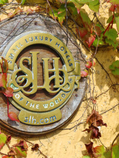 a sign on a wall with ivy