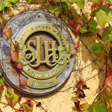 a sign on a wall with ivy