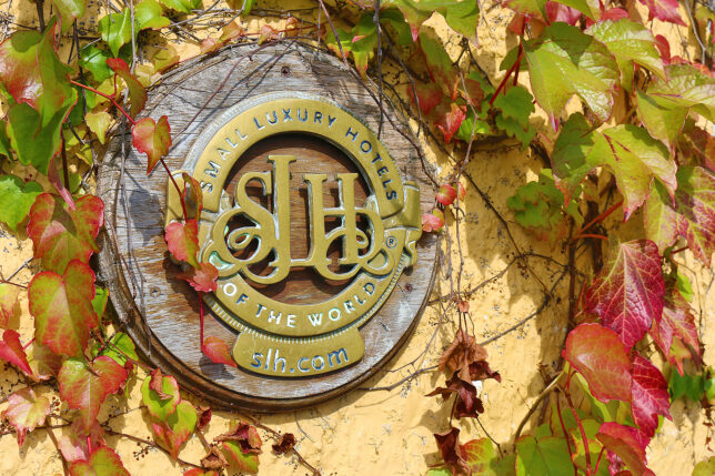 a sign on a wall with ivy