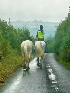 a person riding horses on a road
