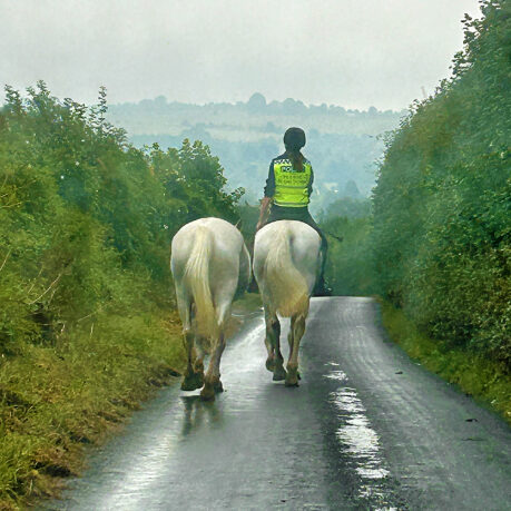 a person riding horses on a road