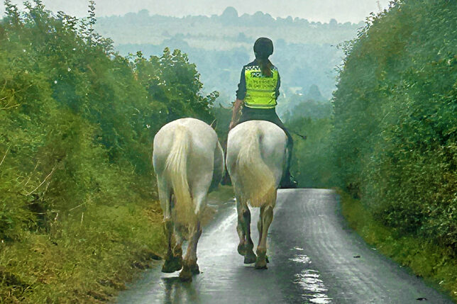 a person riding horses on a road