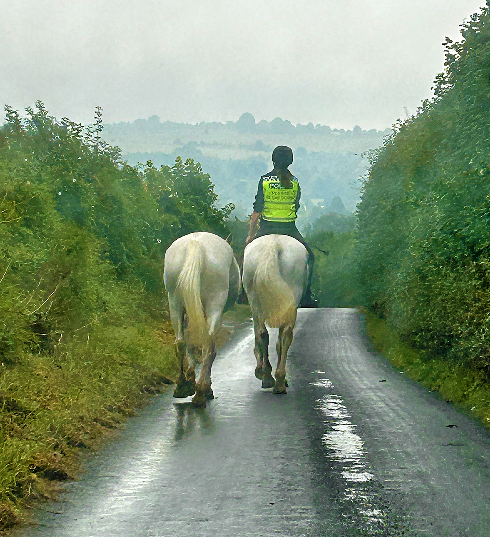 a person riding horses on a road