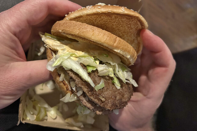 a person holding a burger