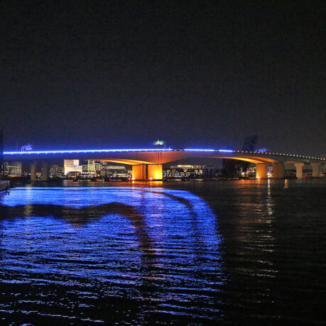 a bridge with lights on it