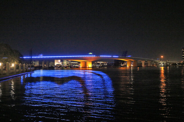 a bridge with lights on it