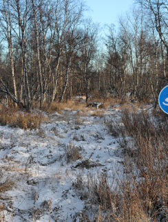 a sign in a snowy field