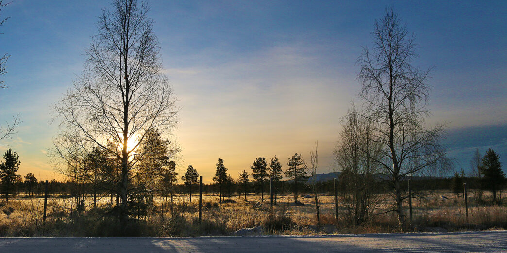 a snowy field with trees and a road