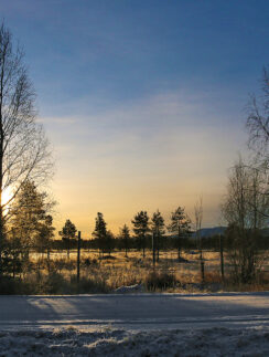 a snowy field with trees and a road