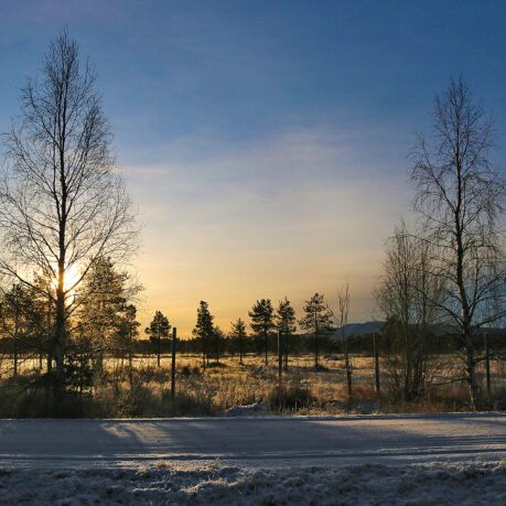a snowy field with trees and a road