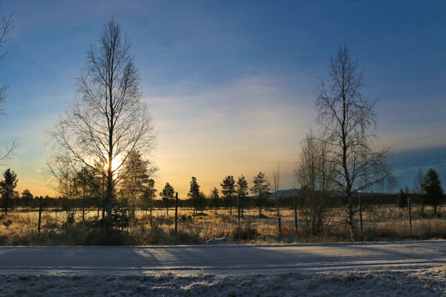 a snowy field with trees and a road