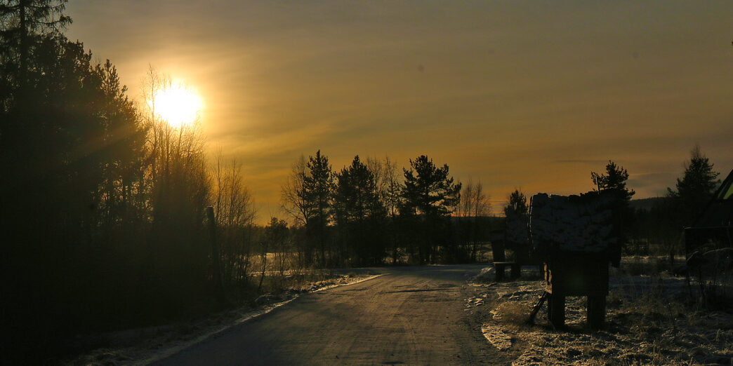 a road with trees and a sunset