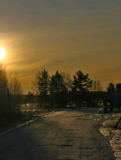 a road with trees and a sunset