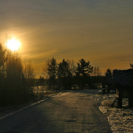 a road with trees and a sunset