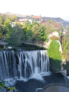a waterfall surrounded by trees