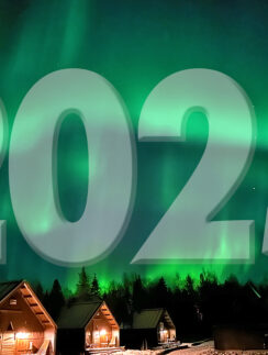 a green aurora borealis over a group of houses