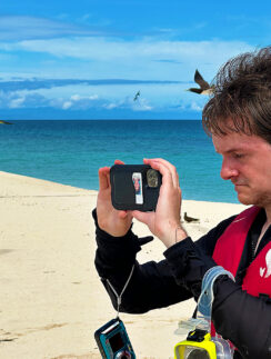 a man taking a picture of a bird on a beach
