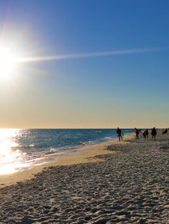 a group of people on a beach