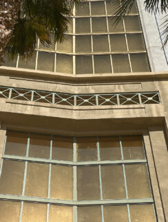 a building with a palm tree