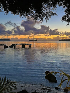 a bridge over water with trees and a boat in the distance