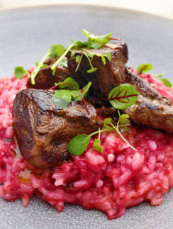 a plate of food on a plate