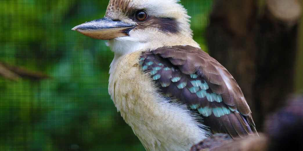 An unknown error occurred.