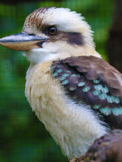 An unknown error occurred.