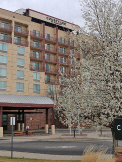 a building with a tree in front of it