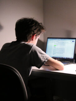 a person sitting at a desk using a laptop