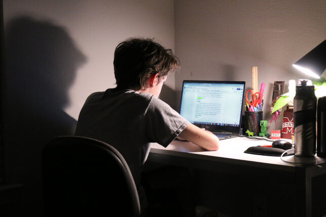 a person sitting at a desk using a laptop