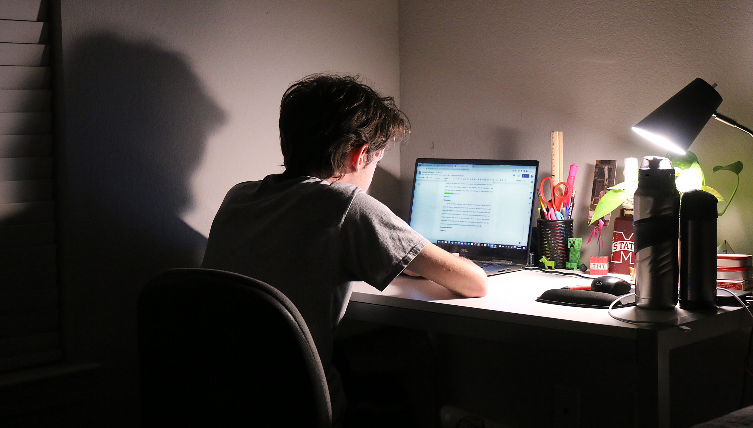 a person sitting at a desk using a laptop