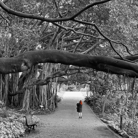 a person walking on a path under a tree