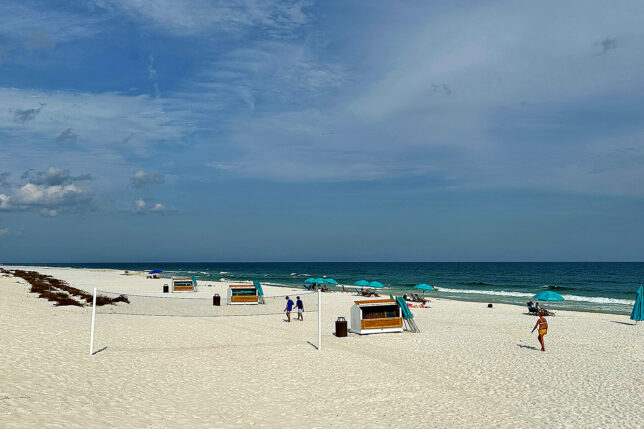 people on a beach with people and umbrellas