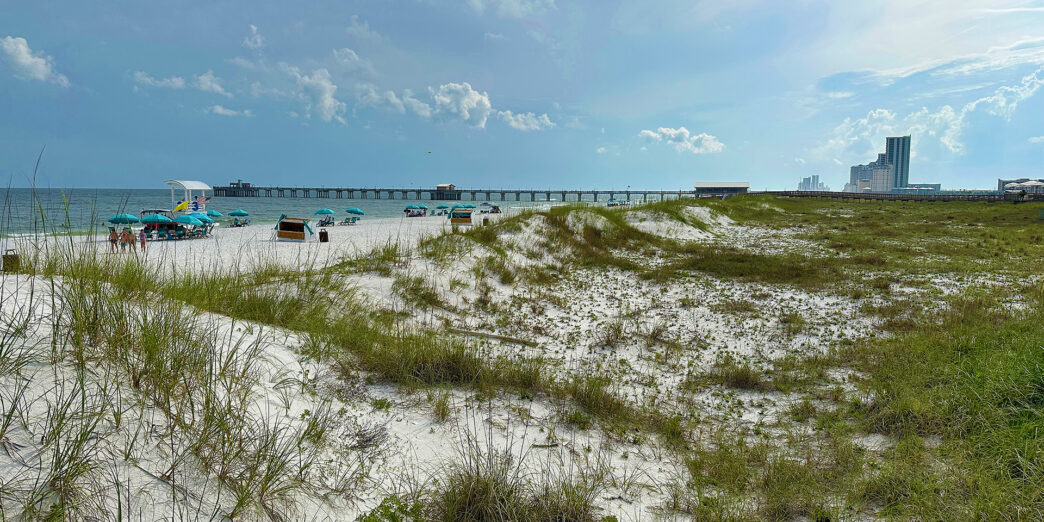 a beach with a bridge and buildings