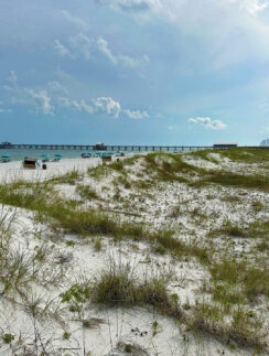 a beach with a bridge and buildings
