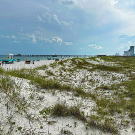 a beach with a bridge and buildings