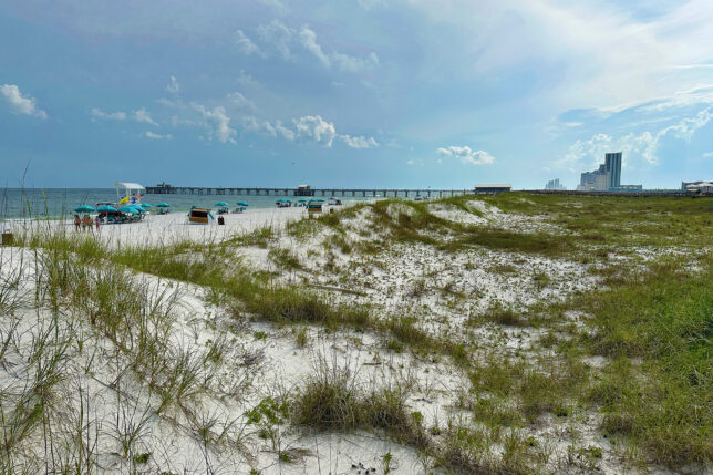 a beach with a bridge and buildings