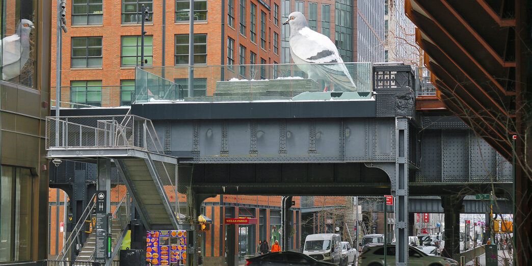 a bird on a bridge