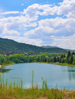 a lake surrounded by trees and mountains