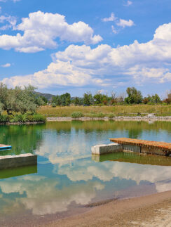 a lake with a dock and trees