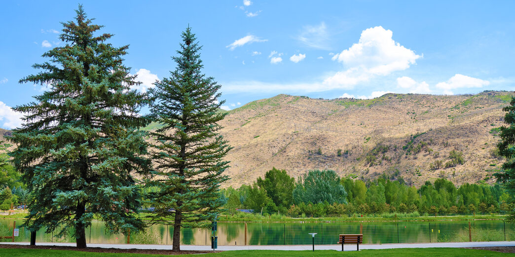 a lake with trees and a bench