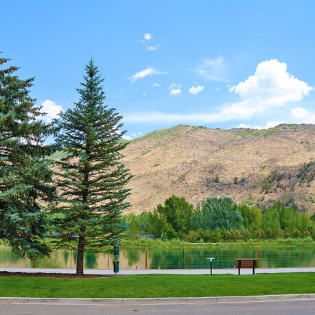 a lake with trees and a bench