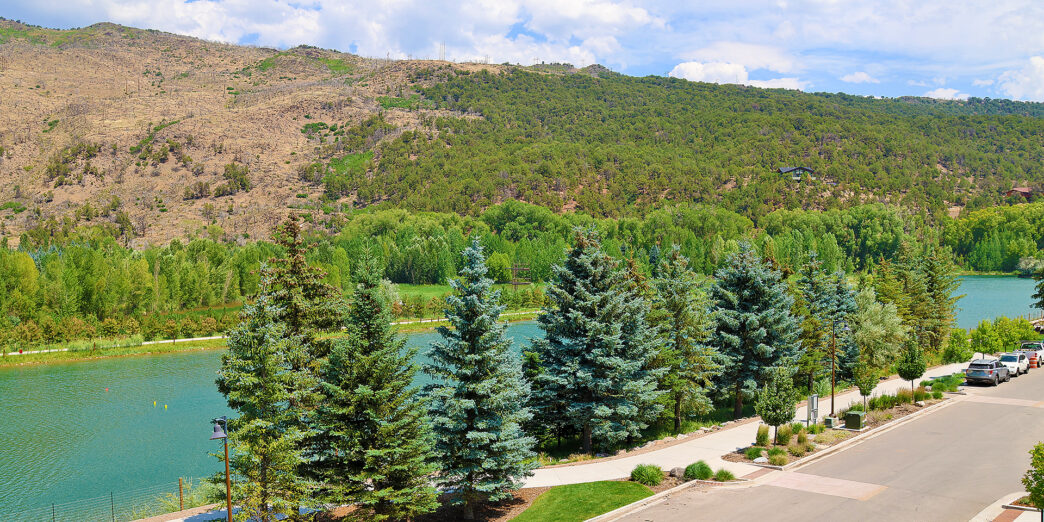 a road with trees and a river