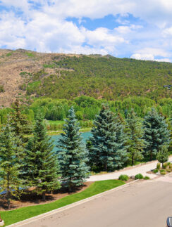 a road with trees and a river