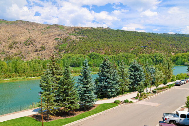 a road with trees and a river