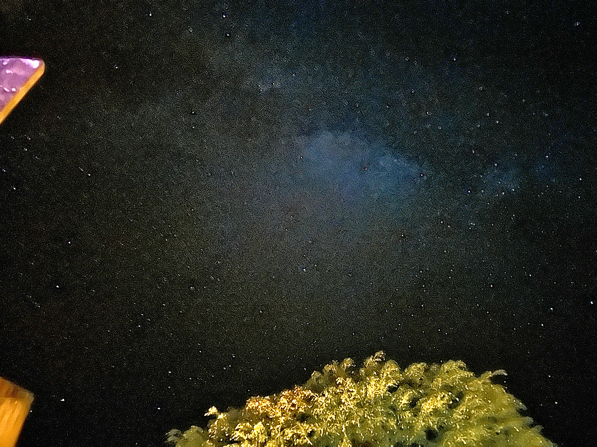 a tree with lights in the night sky