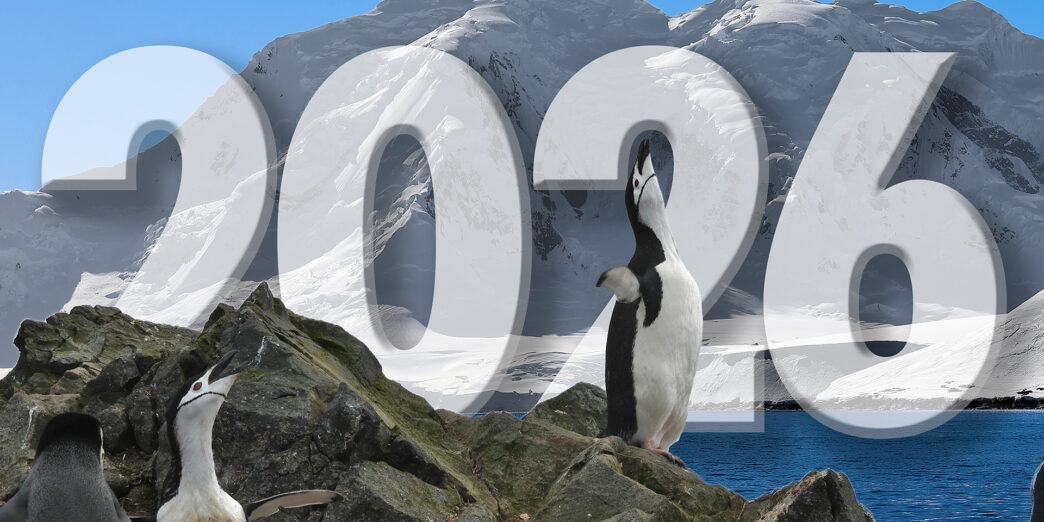 penguins on rocks with snow covered mountains in the background
